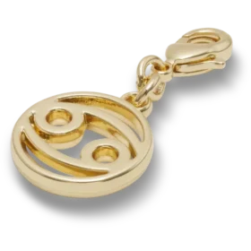 Bijoux Jibbitz « Cancer »