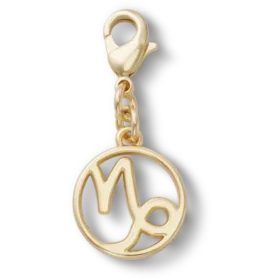 Bijoux Jibbitz « Capricorne »