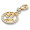 Bijoux Jibbitz « Capricorne »