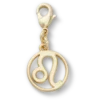 Bijoux Jibbitz™ « Lion »