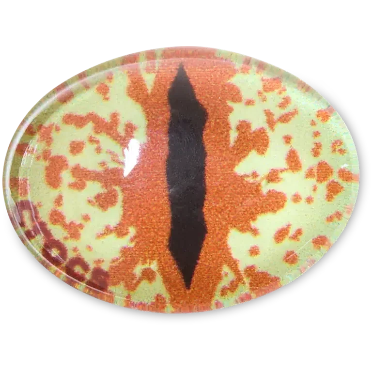 Bijoux Jibbitz™ « Œil d’animal Hazel » Bijoux Jibbitz™ « Œil d’animal Hazel »