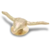 Bijoux Jibbitz™ « Taureau » dorés