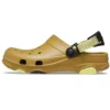 Classic Clog Crocs Beach « Green »