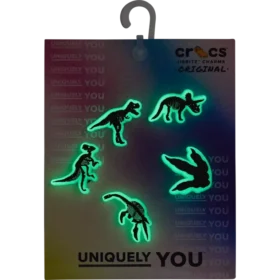Lot de 5 Bijoux Jibbitz « Dino » phosphorescents pour bijoux de chaussures